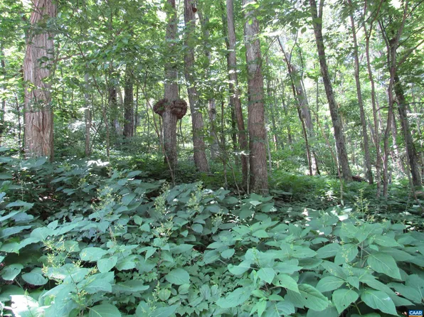 73 Hanging Rock Ln, Roseland, VA 22967