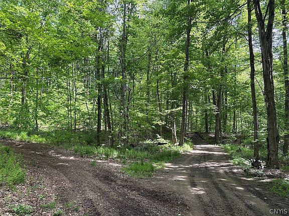4th image of Route 29 Lot 11