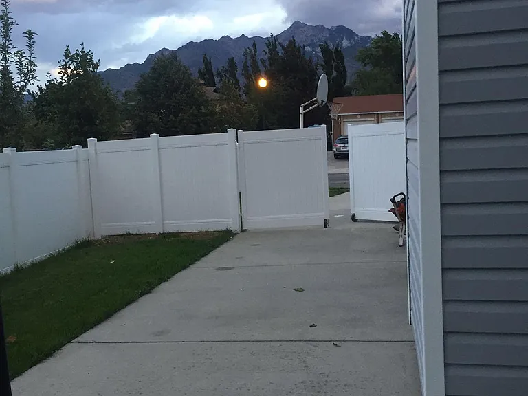 side back yard