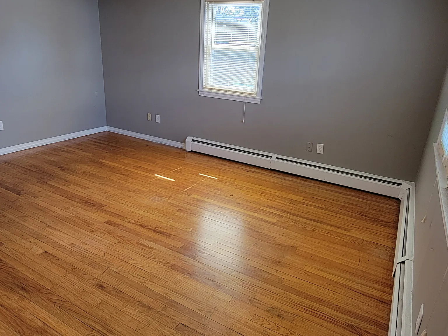 1 bed, 720 sqft, $1,500 — Photo 2