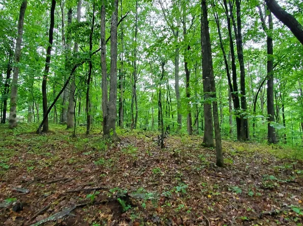 Sawmill Rd, Monterey, TN 38574