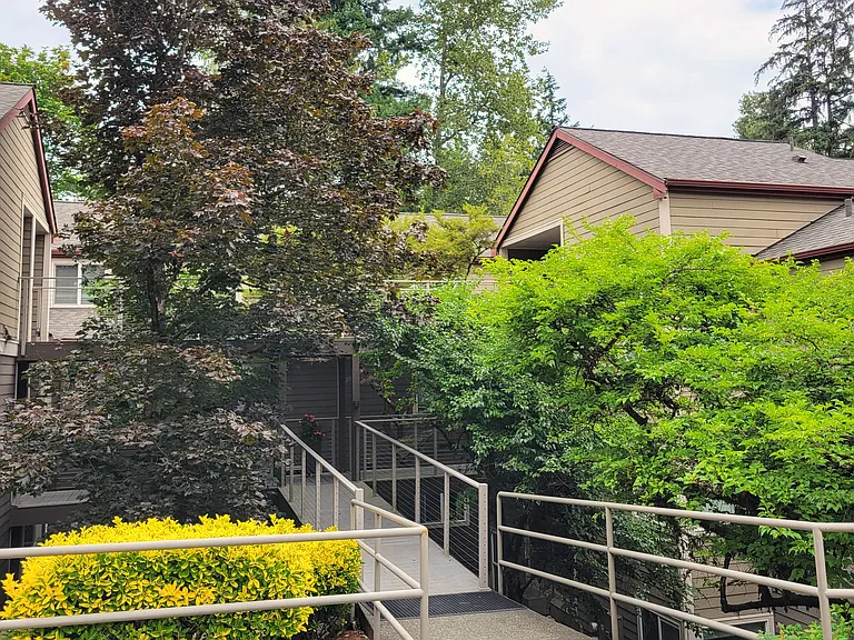 Building B Entry walkway. When the Japanese Bellflower trees flower in the spring, every trip out of the house becomes a delight.