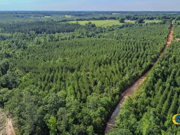 Welch Rd, Buena Vista, GA 31803