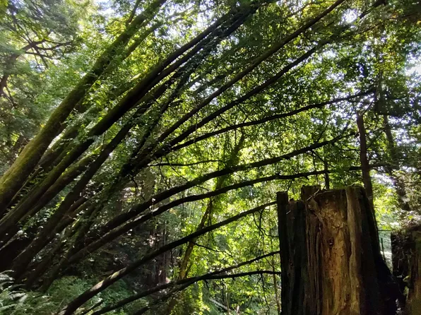 0 Starwein Klamath, Klamath, CA 95548