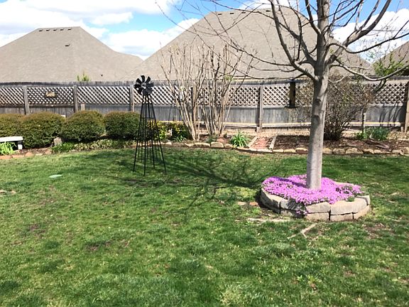 Springtime photo of backyard