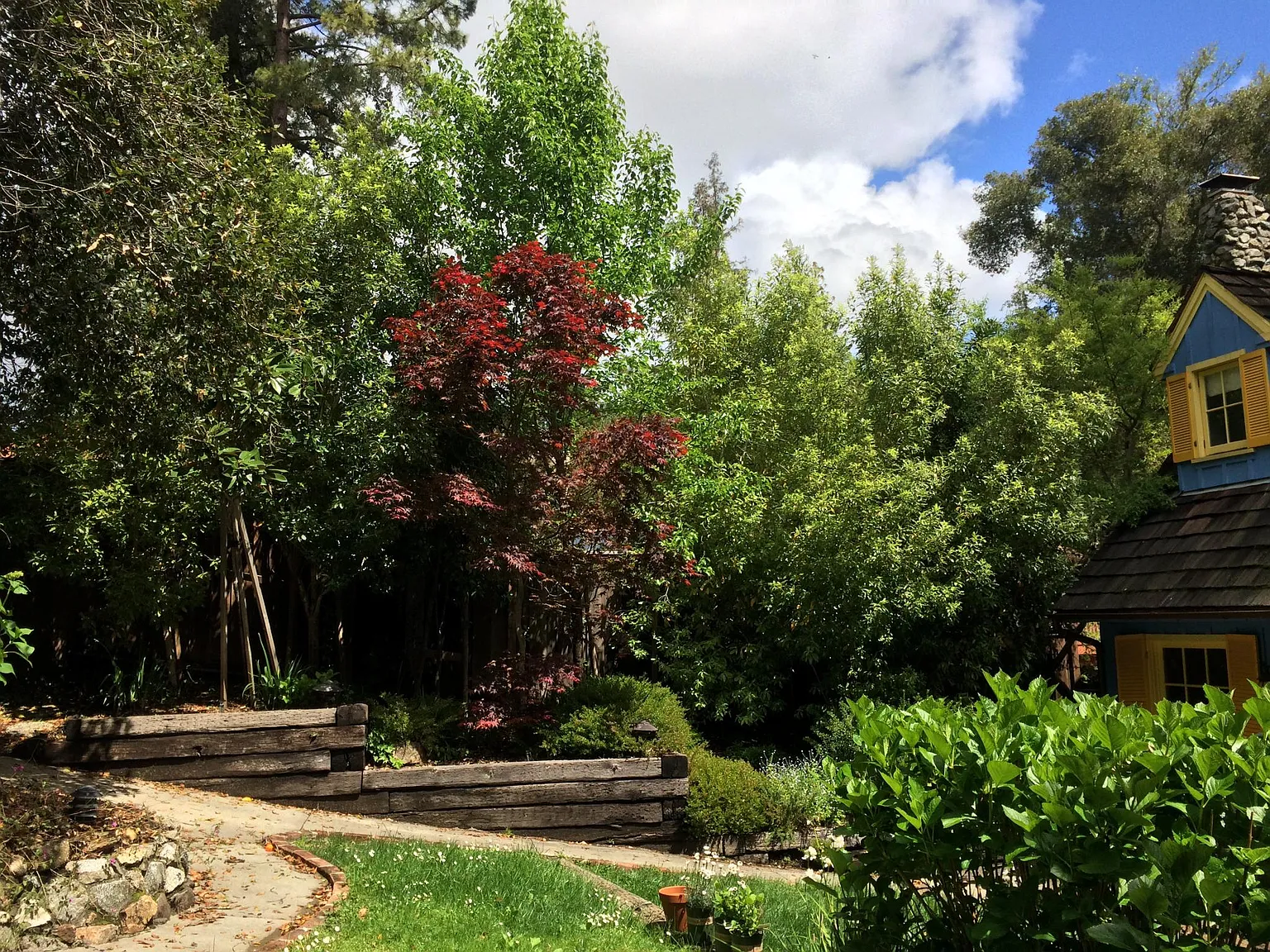 2 bed, 1100 sqft, $3,450 — Photo 3