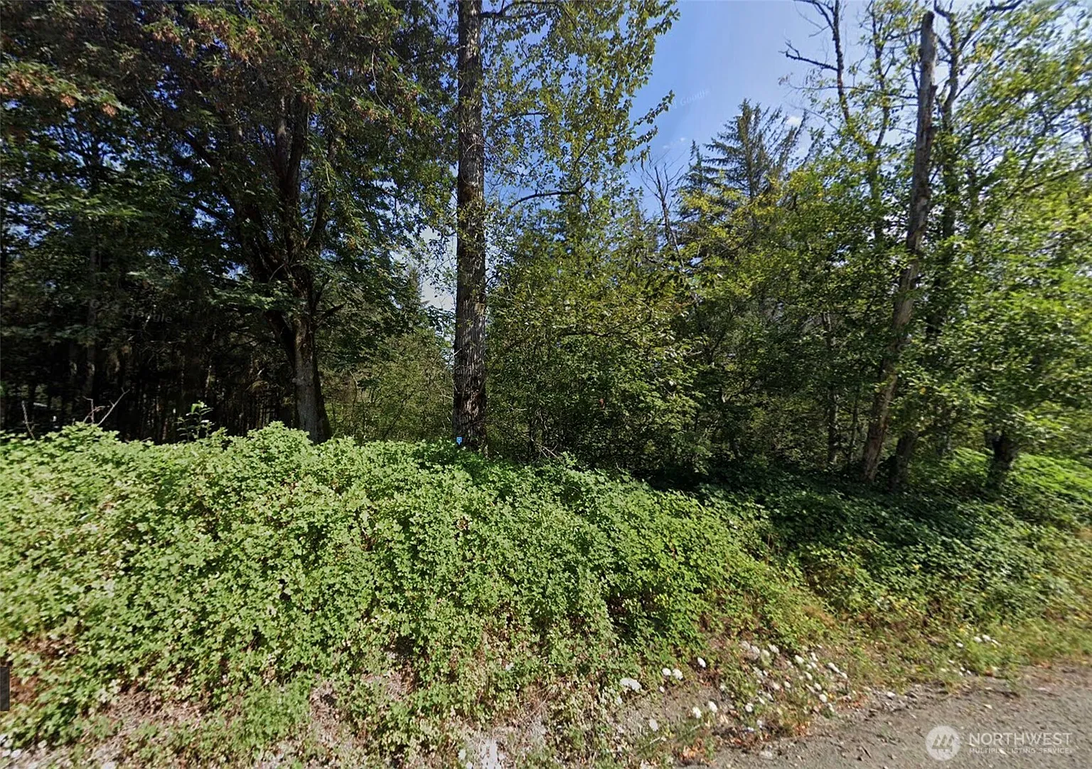 31900 Retreat-Kanaskat Road photo 1