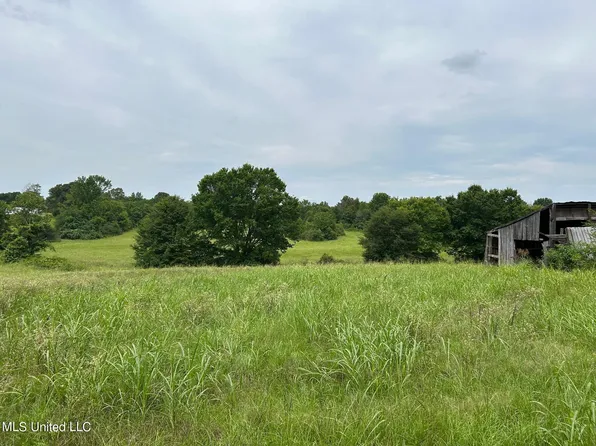 2 Sycamore Rd, Coldwater, MS 38618