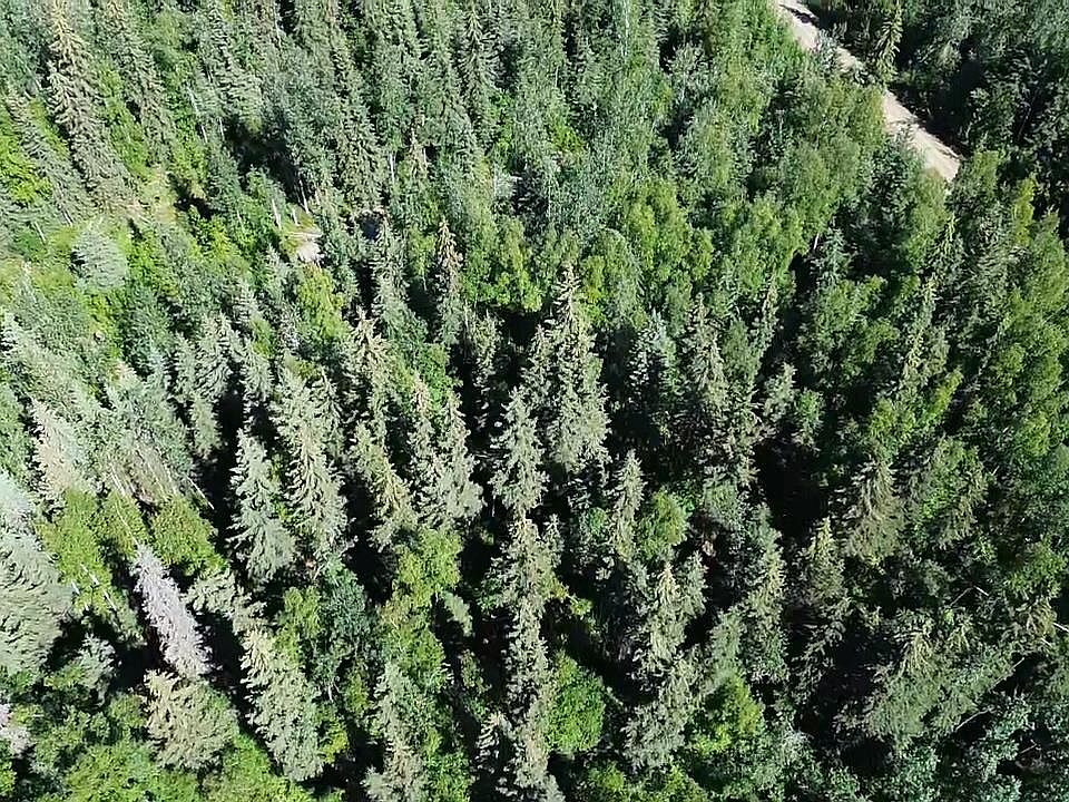 1st image of LOT 6 Maude Boyle Dr