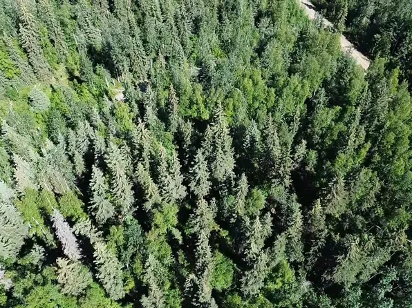 LOT 6 Maude Boyle Dr, North Pole, AK 99705
