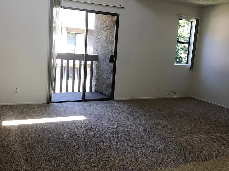 Spring Tree Apartments — Photo 17