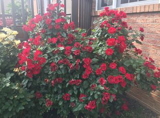 116 Olympia Way, Georgetown, KY 40324