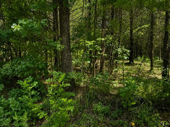000 Falling Rock Road, Elkland, MO 65644