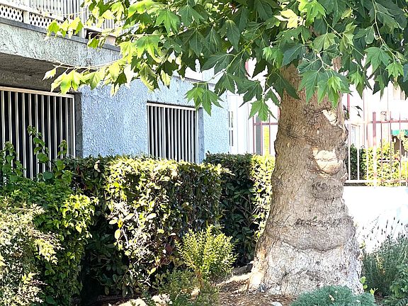 Community exterior landscaping