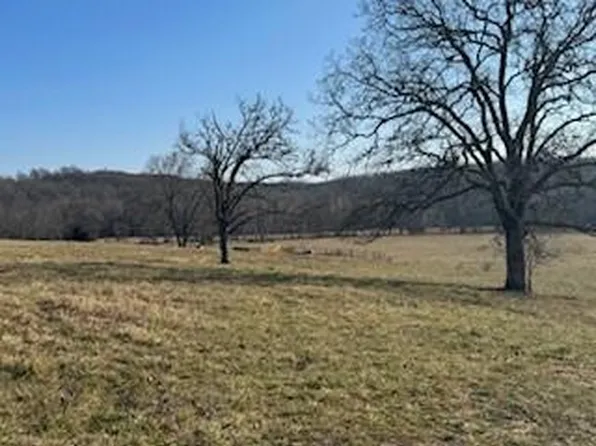 000 South 95 Highway, Mountain Grove, MO 65711