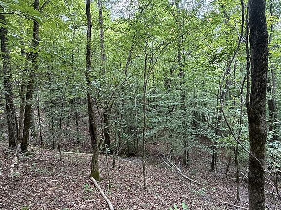 3rd image of 0 Deer Creek Rd