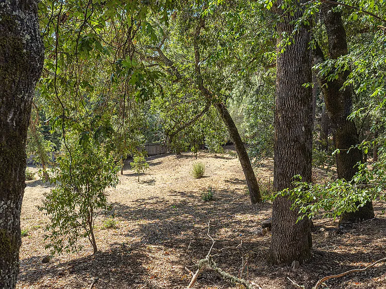 525 Keyes Ave — Photo 53