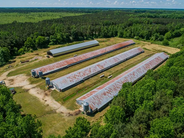 5650 Old 125 Rd, Scotland Neck, NC 27874
