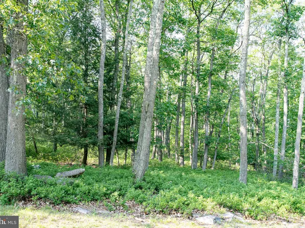 LOT On Main Rd, Spring Mills, PA 16875