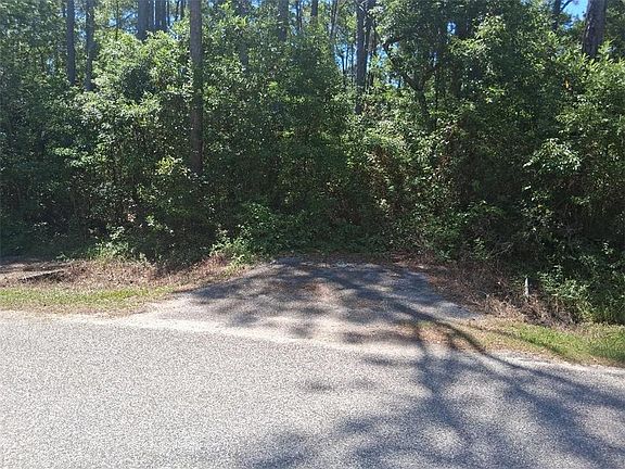 4th image of 1205 Alabama Ave