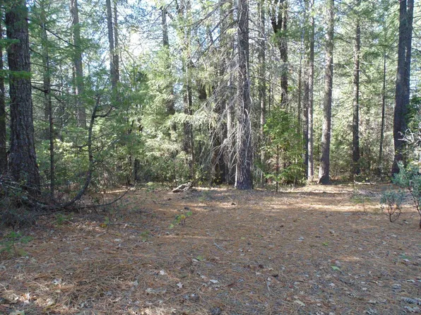 Acres 35 Balderson, Georgetown, CA 95634