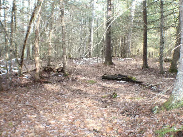 Beaver Creek Rd, Marlinton, WV 24954