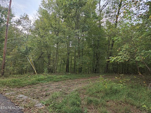 3rd image of Hodges Ct