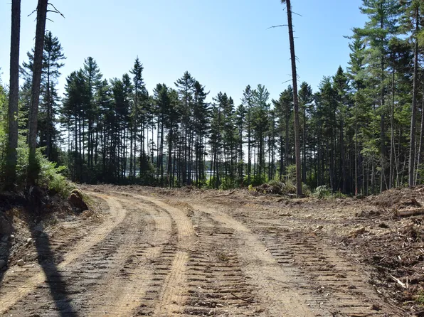 MS03l17.3 Middle Carry Pond Road, Carrying Place Twp, ME 04961