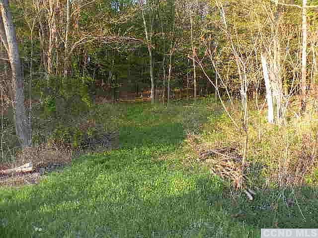 2nd image of 0 Biegel Road