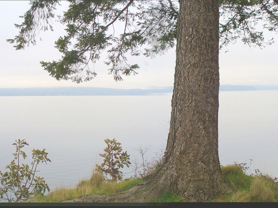 180 plus degree western Hood Canal views