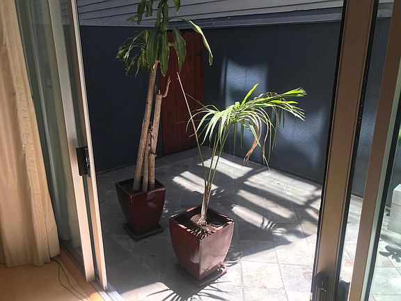 5th image of 1011 23rd St APT 1