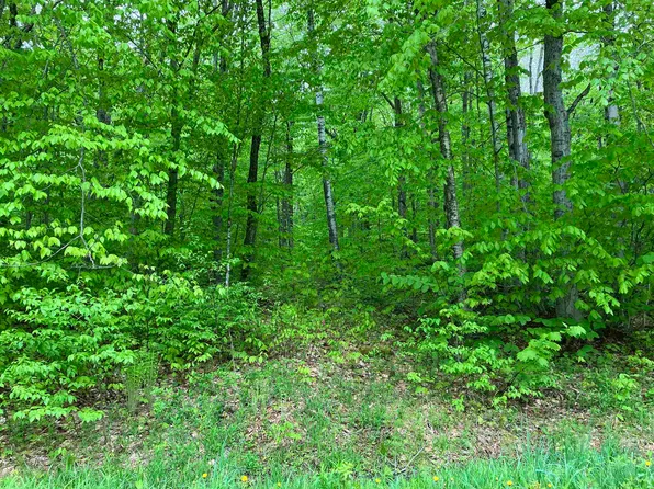 91 Lower Howes Road #A91, Wilmington, VT 05363