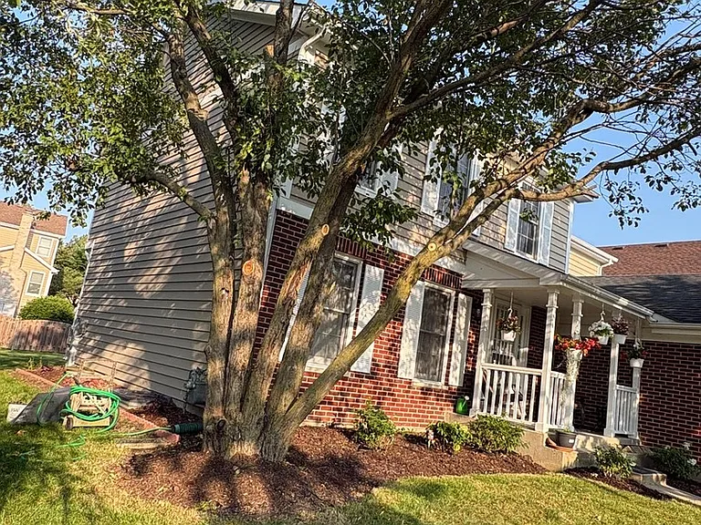 237 Biscayne St — Photo 30