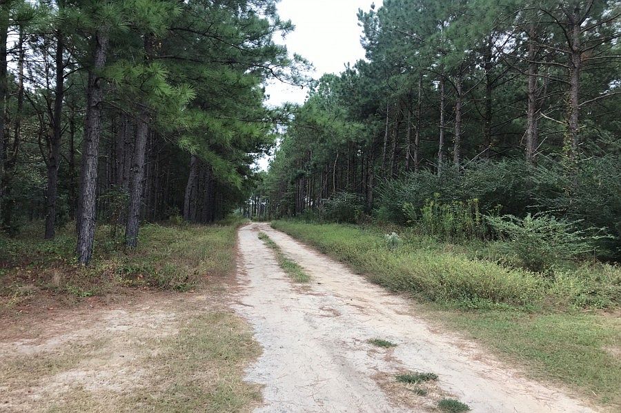 1st image of 6839 Us Highway 221 S