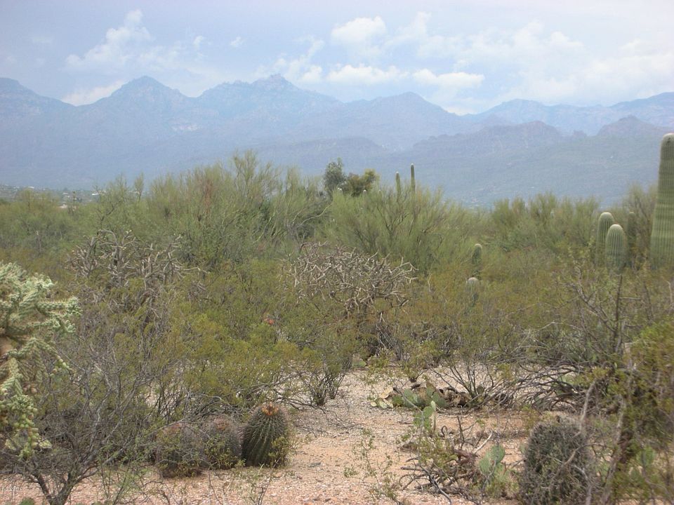 1st image of 651 N Avenida Aguila