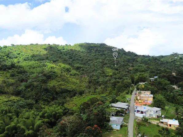 State Highway 181 Km Cayaguaz #11.0, San Lorenzo, PR 00754
