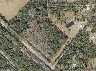 S Us Highway 17, Pierson, FL 32180