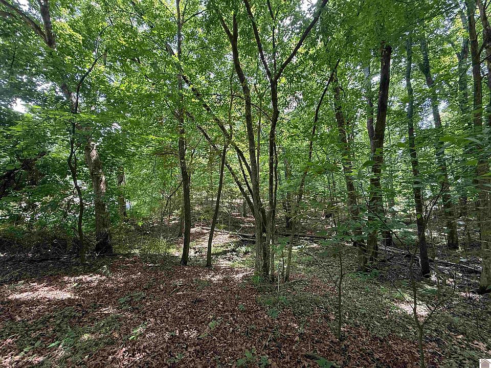 1st image of 0 Waterway Trl