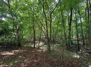 0 Waterway Trl, New Concord, KY 42076