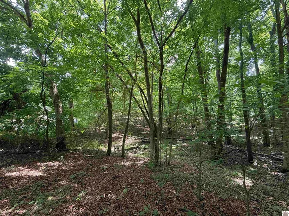 0 Waterway Trl, New Concord, KY 42076
