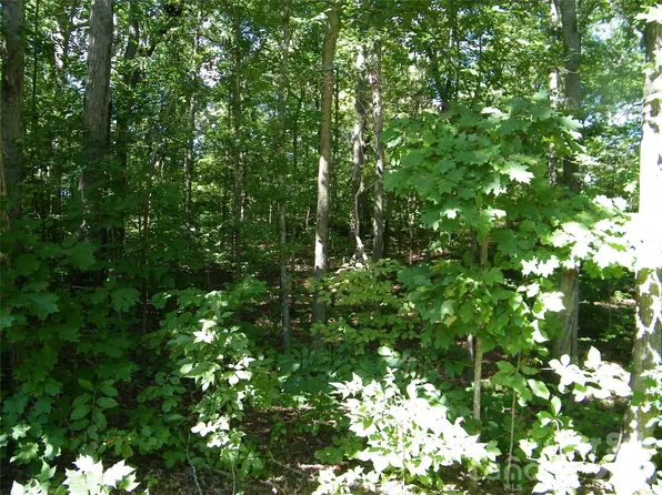 0 Chippewa Trl, China Grove, NC 28023