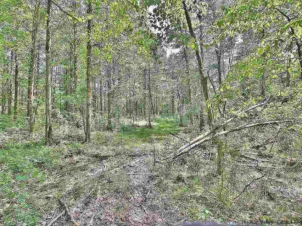 27 Turkey Point Rd, Saugerties, NY 12477 Zillow