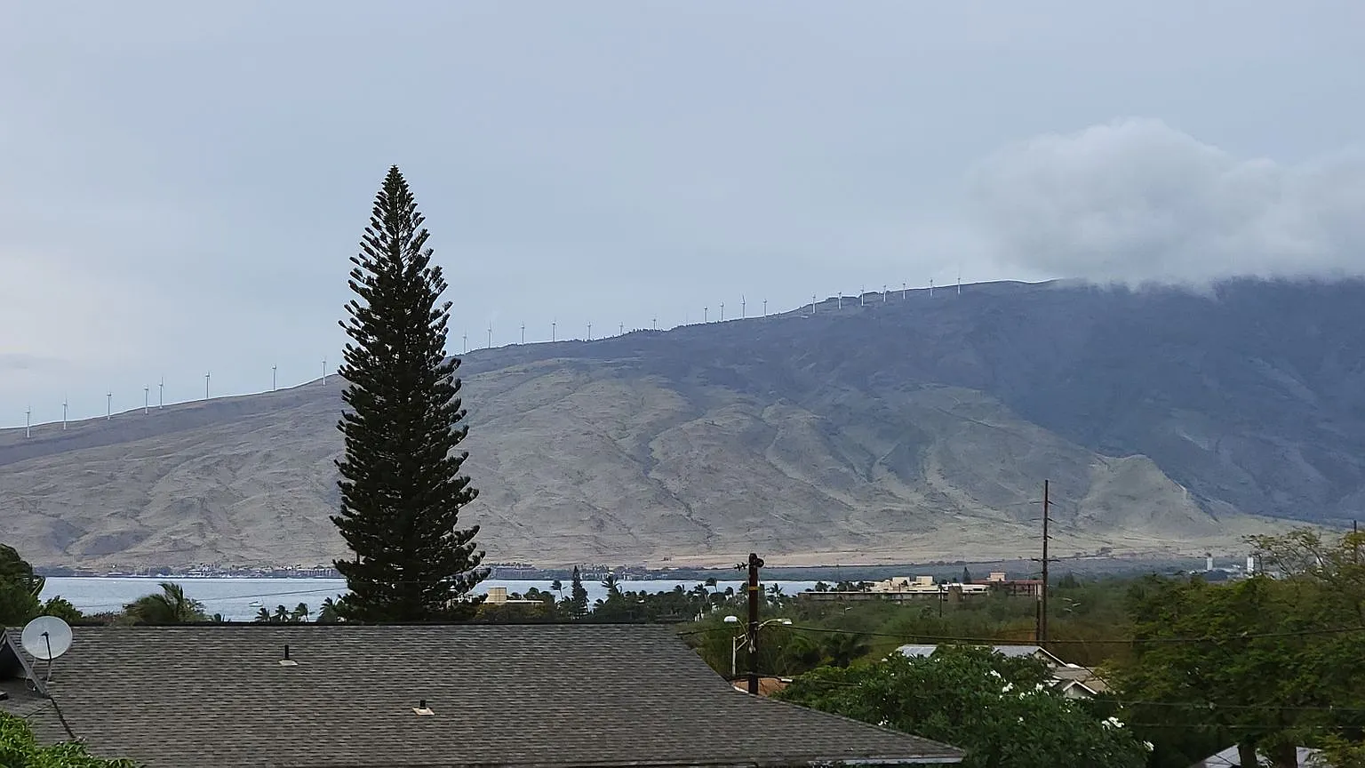 1 Bedroom Ohana in North Kihei — Photo 4