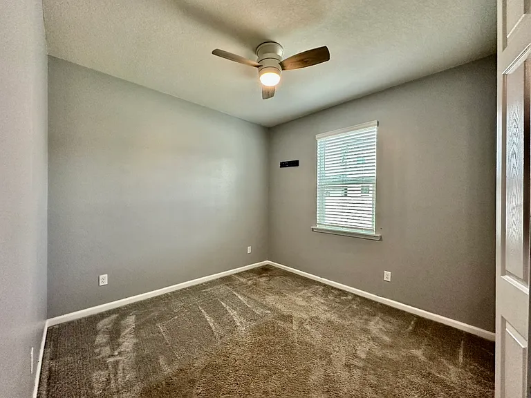 1443 Tropical Pine Cv — Photo 14