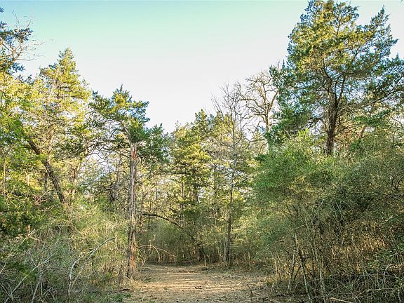 5th image of Schoenau Rd