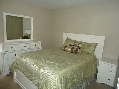 9158 Carroll Manor Dr — Photo 17