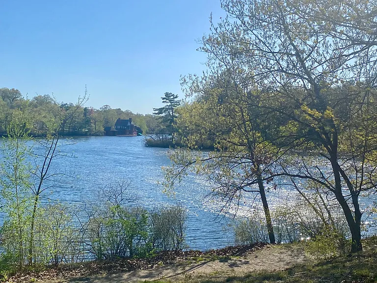 71 Marion Ave #1 — Photo 15