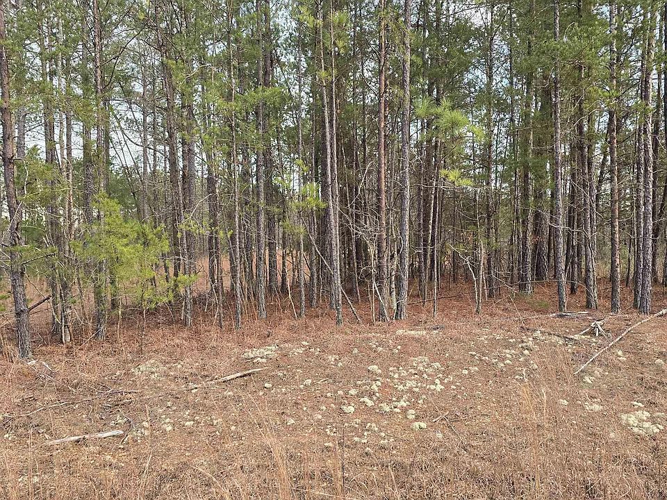 1st image of 385 County Road 886 #20