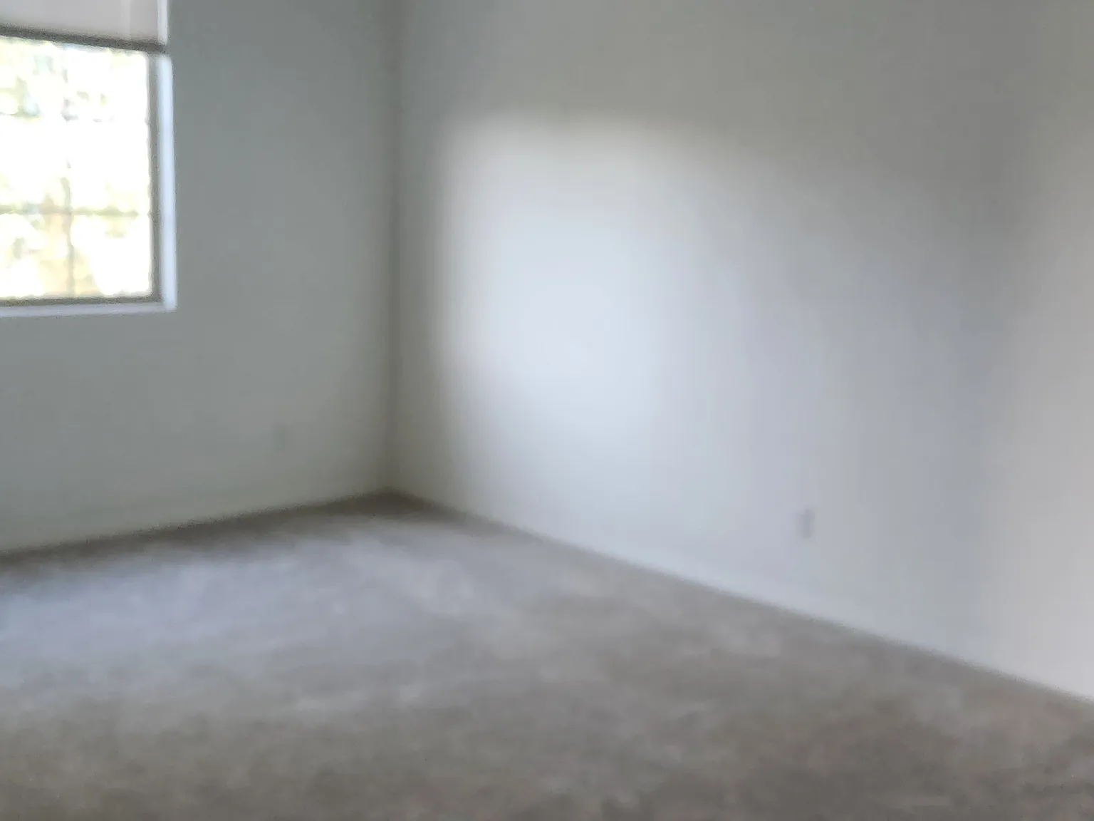 4 bed, 2100 sqft, $4,000 — Photo 4