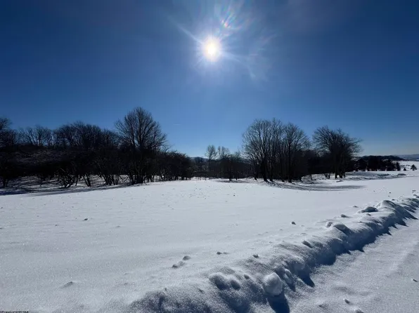 18 Pointy Knob Rd, Davis, WV 26260